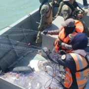 Frenan extracción ilegal de ostión en Campeche