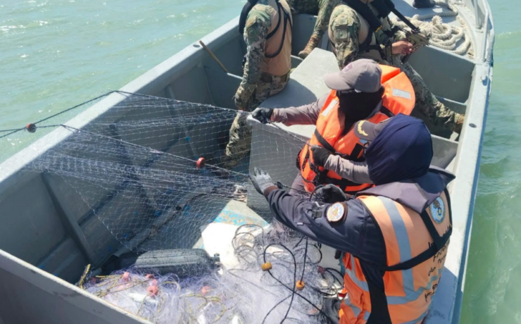 Frenan extracción ilegal de ostión en Campeche