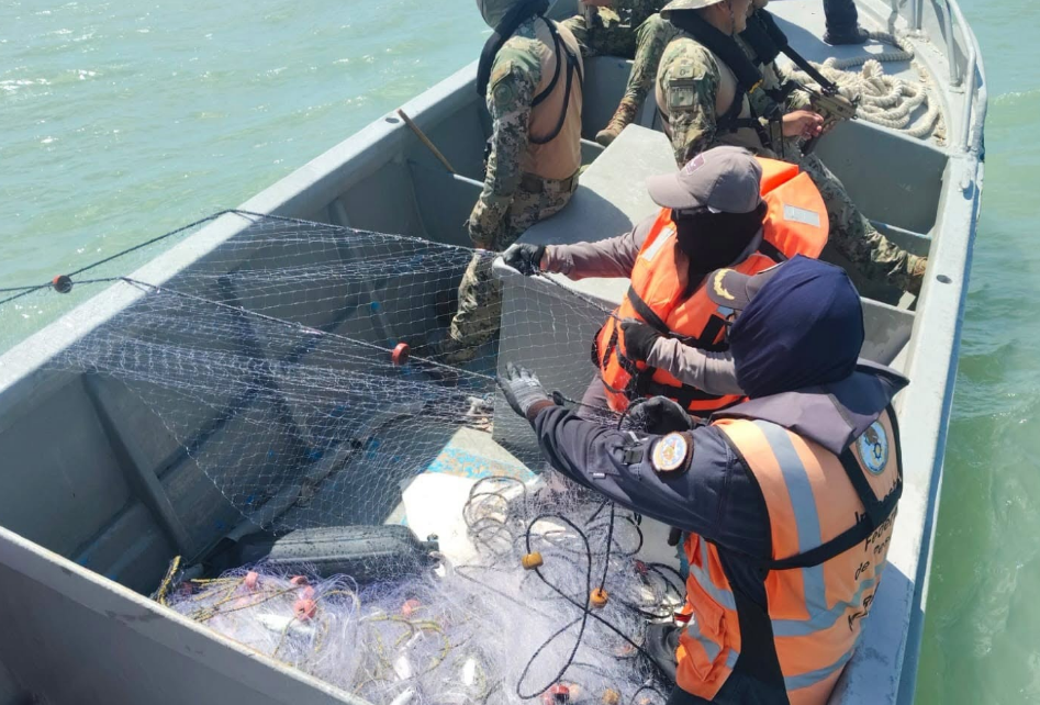 Frenan extracción ilegal de ostión en Campeche