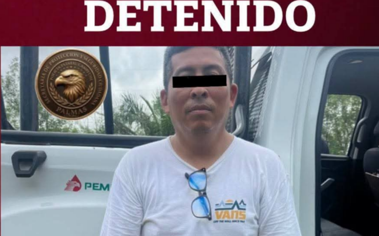 Detienen a un hombre por abandono de gatitos en Campeche