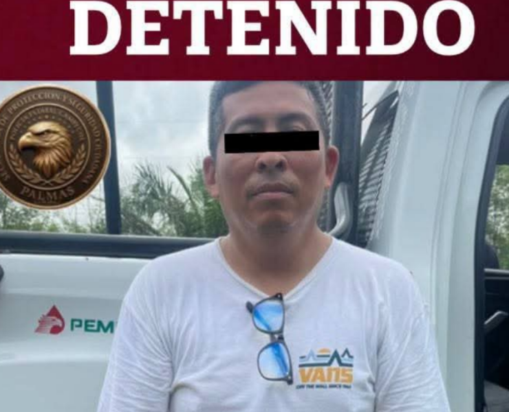 Detienen a un hombre por abandono de gatitos en Campeche