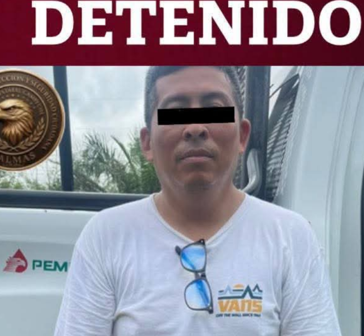 Detienen a un hombre por abandono de gatitos en Campeche