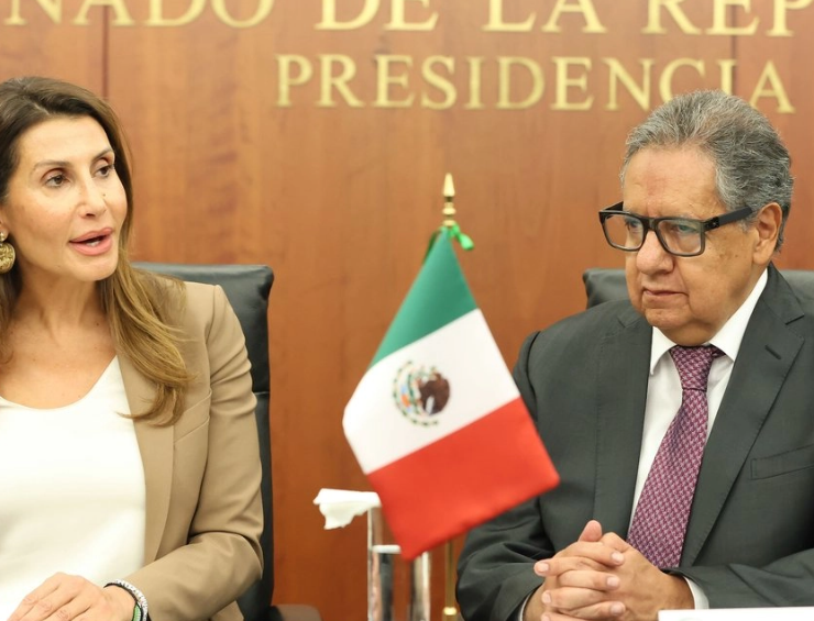 Embajadora de Palestina pide apoyo a México
