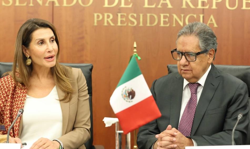 Embajadora de Palestina pide apoyo a México