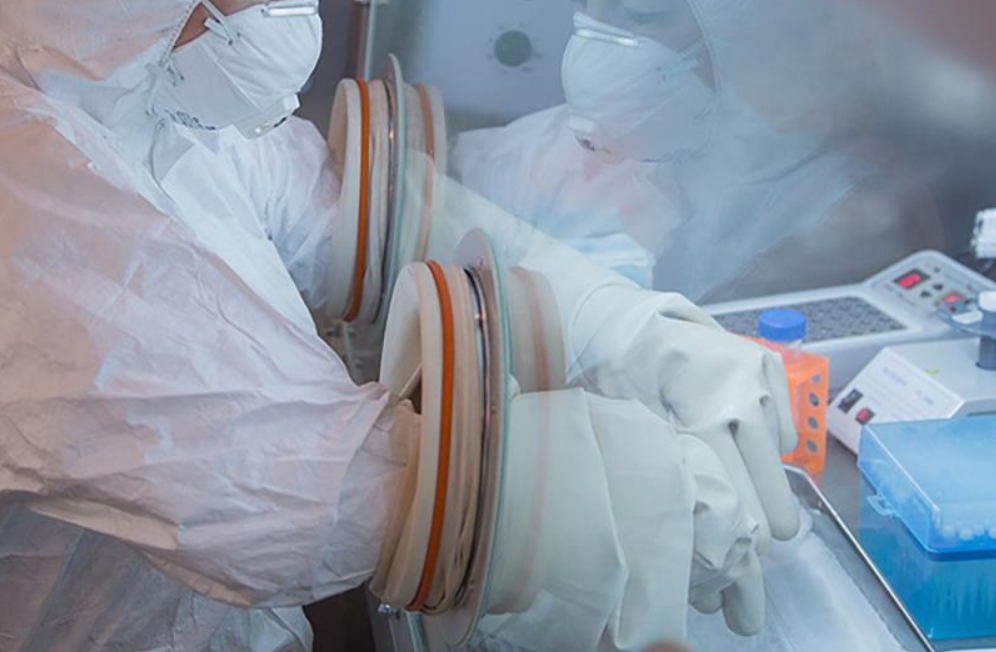 Rusia dice que no hay riesgo de epidemia