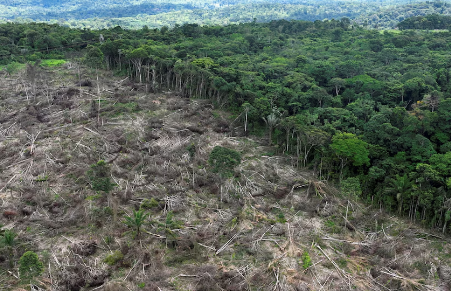 Multas y vigilancia ambiental