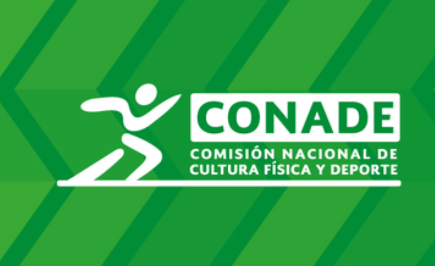 ¿Qué preparación exige un puesto de este nivel?