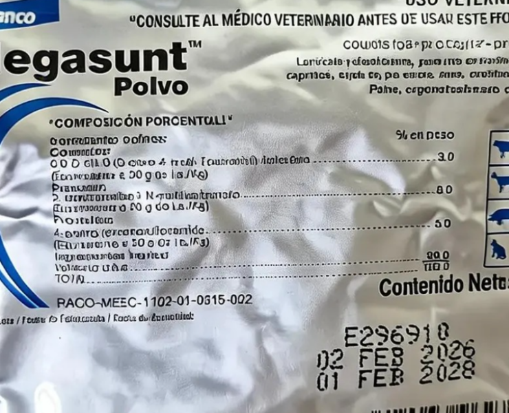 ¡Larvicida gratuito contra barrenador en Campeche: entérate!