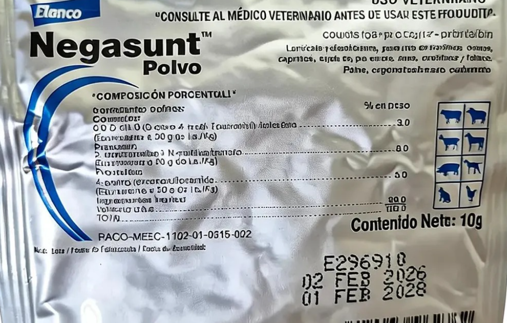 ¡Larvicida gratuito contra barrenador en Campeche: entérate!