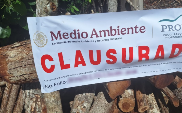 ¡Selva de Campeche en peligro: descubren 12 hornos!