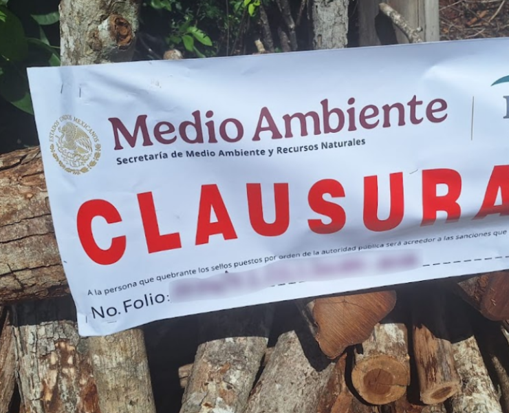 ¡Selva de Campeche en peligro: descubren 12 hornos!