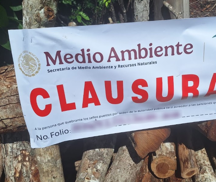 ¡Selva de Campeche en peligro: descubren 12 hornos!