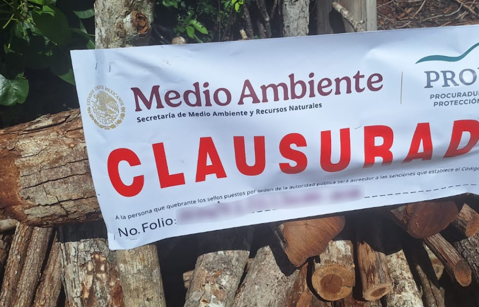 ¡Selva de Campeche en peligro: descubren 12 hornos!