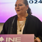 Piden cárcel para Guadalupe Taddei por presuntas irregularidades