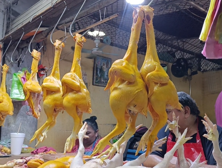 Venta de pollo se mantiene baja: comerciantes esperan repunte