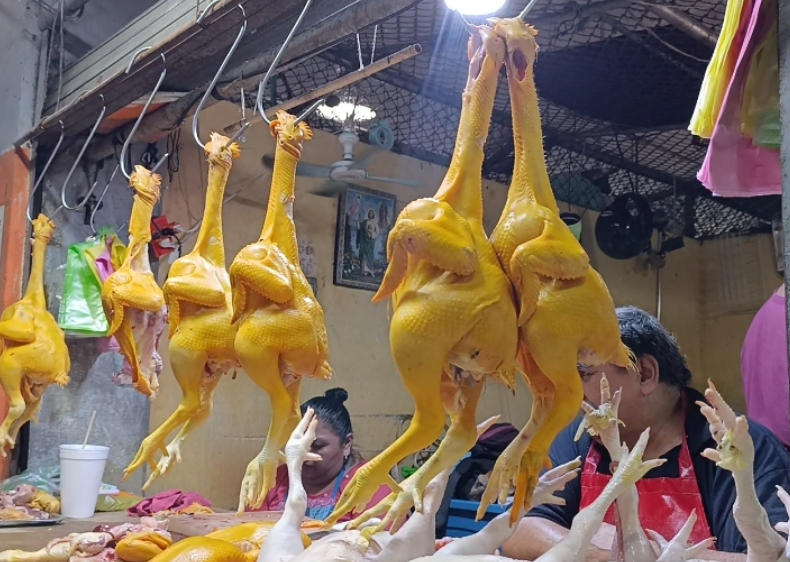 Venta de pollo se mantiene baja: comerciantes esperan repunte