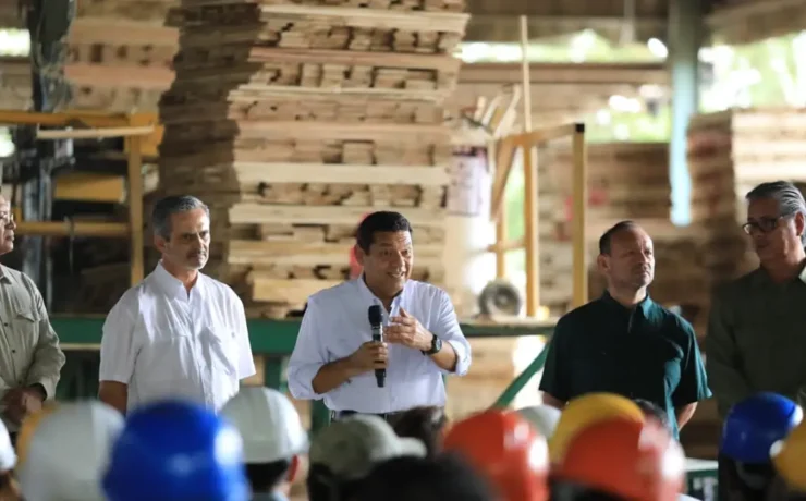 Empresarios siguen apostando por Tabasco y su potencial forestal