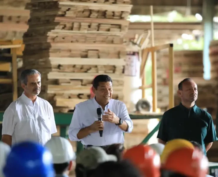 Empresarios siguen apostando por Tabasco y su potencial forestal