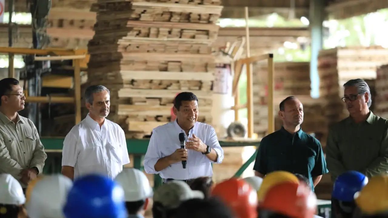 Empresarios siguen apostando por Tabasco y su potencial forestal