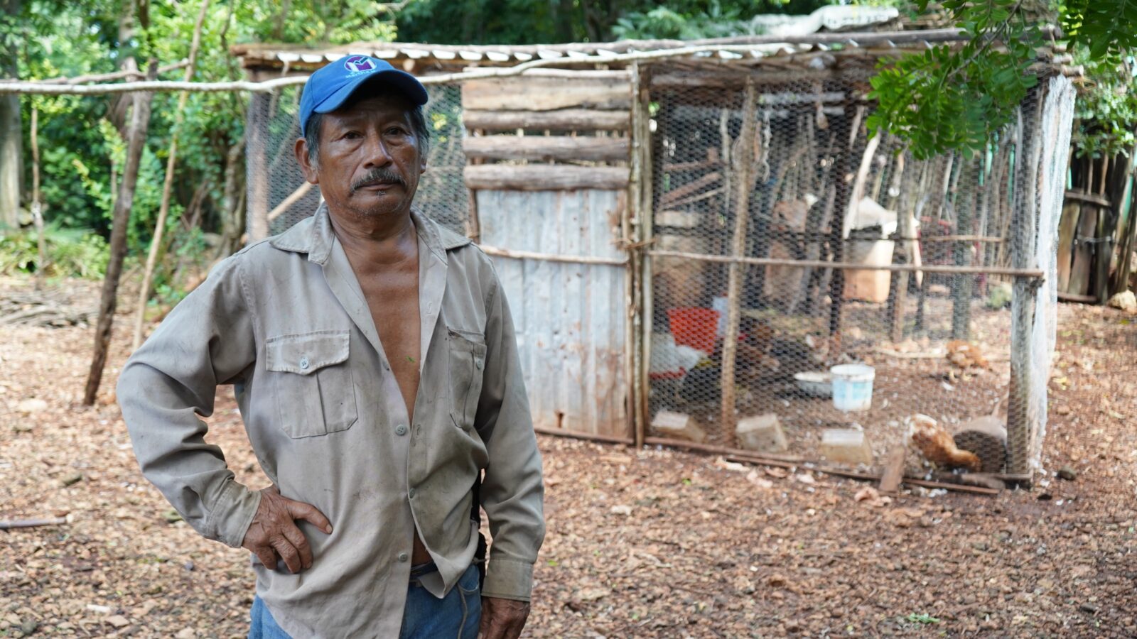 Gobierno impulsa huertos y aves de traspatio para fortalecer economía familiar