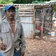 Gobierno impulsa huertos y aves de traspatio para fortalecer economía familiar