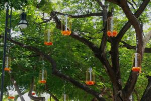 La decoración del Parque de San Juan se llena de color y tradición para recibir el Encendido de Ánimas Iluminadas 2026, como parte de las actividades del Festival de las Ánimas en Mérida.