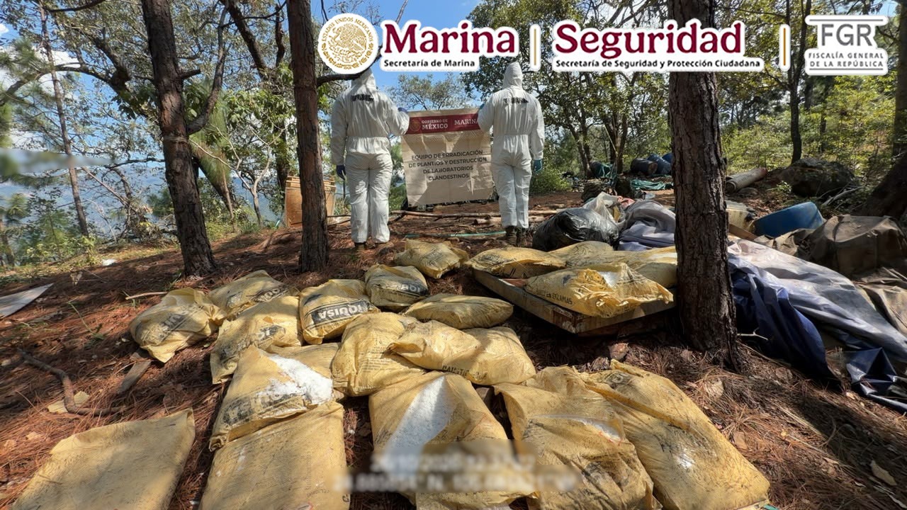 Refuerzan acciones contra la producción de drogas sintéticas