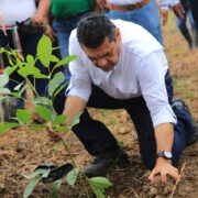 Tabasco inicia Jornada de Reforestación 2026