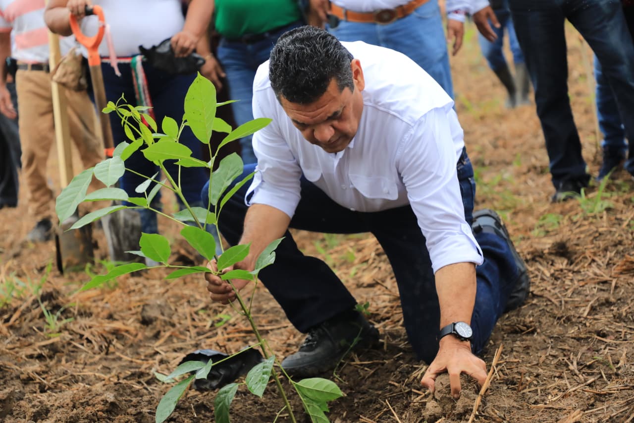 Tabasco inicia Jornada de Reforestación 2026