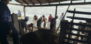 Personal de la Secretaría de Marina realiza recorridos preventivos y coordina acciones con autoridades de Protección Civil ante el huracán “Trudy”, para reducir riesgos por lluvias, fuertes vientos y oleaje elevado en las costas del Pacífico mexicano.