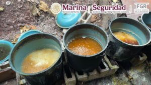 Aseguramiento de metanfetaminas en Durango. Marina, SSPC y FGR desmantelaron un laboratorio clandestino en la comunidad de Carrictos, donde decomisaron 1,308 kilogramos de metanfetamina y diversos precursores químicos.