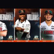 ¡La cueva se refuerza! Leones de Yucatán anuncian tres movimientos rumbo a 2027